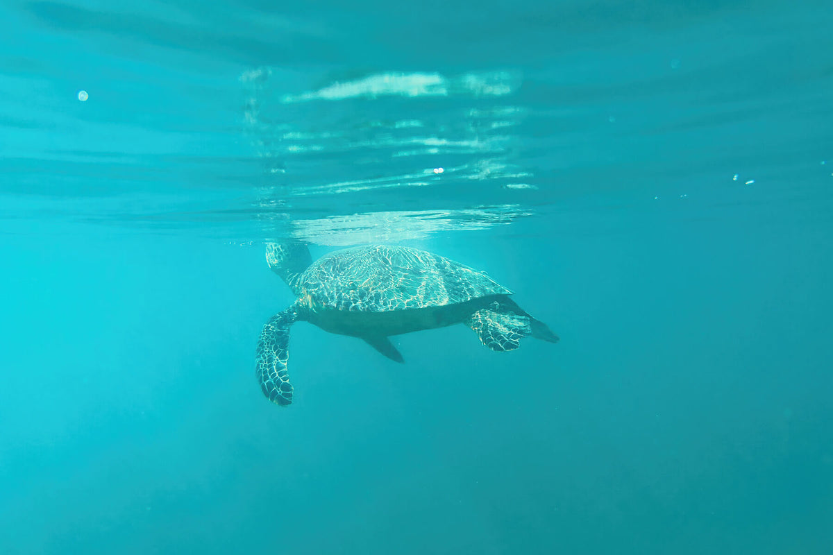 8171509