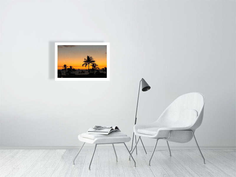 8171507-2803954