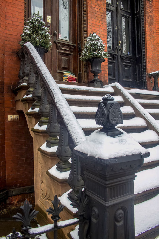 Books on stoops under the snow in Brooklyn