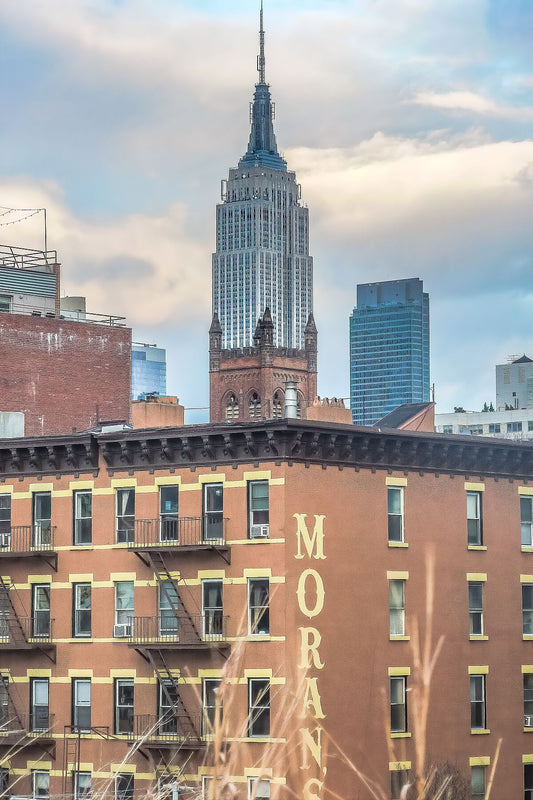 Vue de l'Empire State Building depuis la High Line
