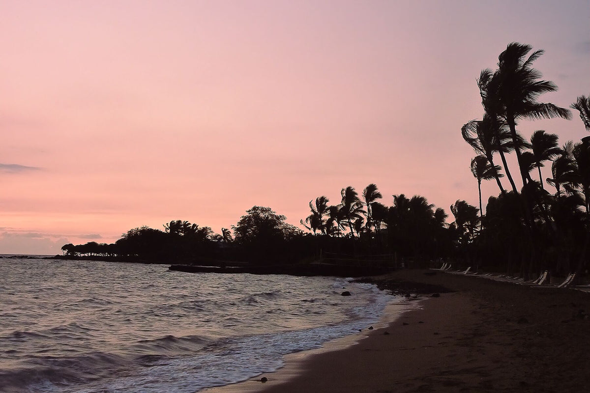 Pink Sunset on the beach