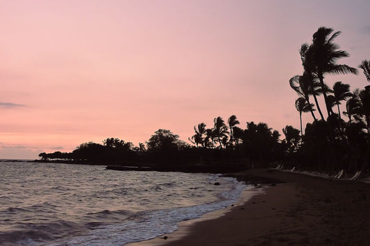 Pink Sunset on the beach