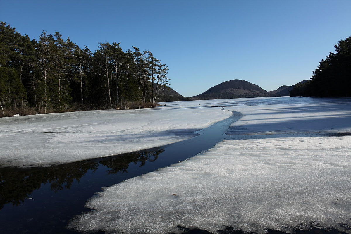 Paysage glacé en Acadie