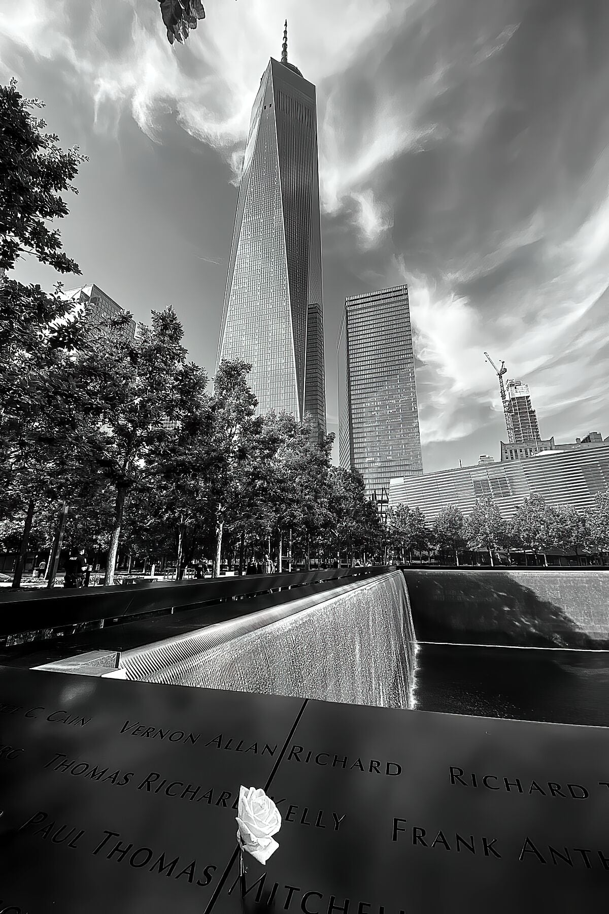 White Rose at the World Trade Center