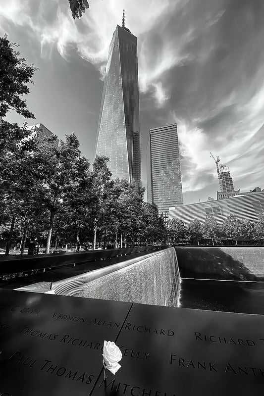White Rose at the World Trade Center