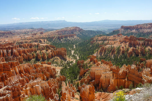 Bryce Canyon panorama