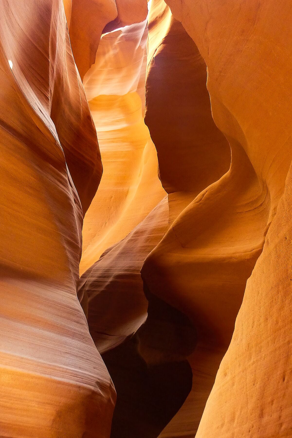 Vagues de roche au soleil